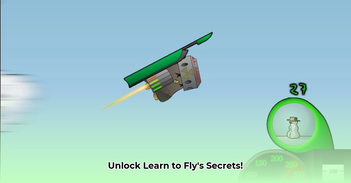 learn-to-fly-hacked